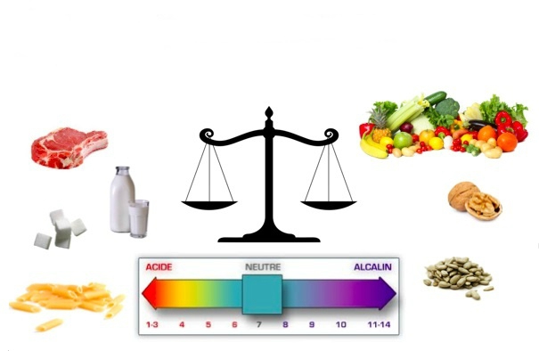 equilibrea acido-basique.jpg