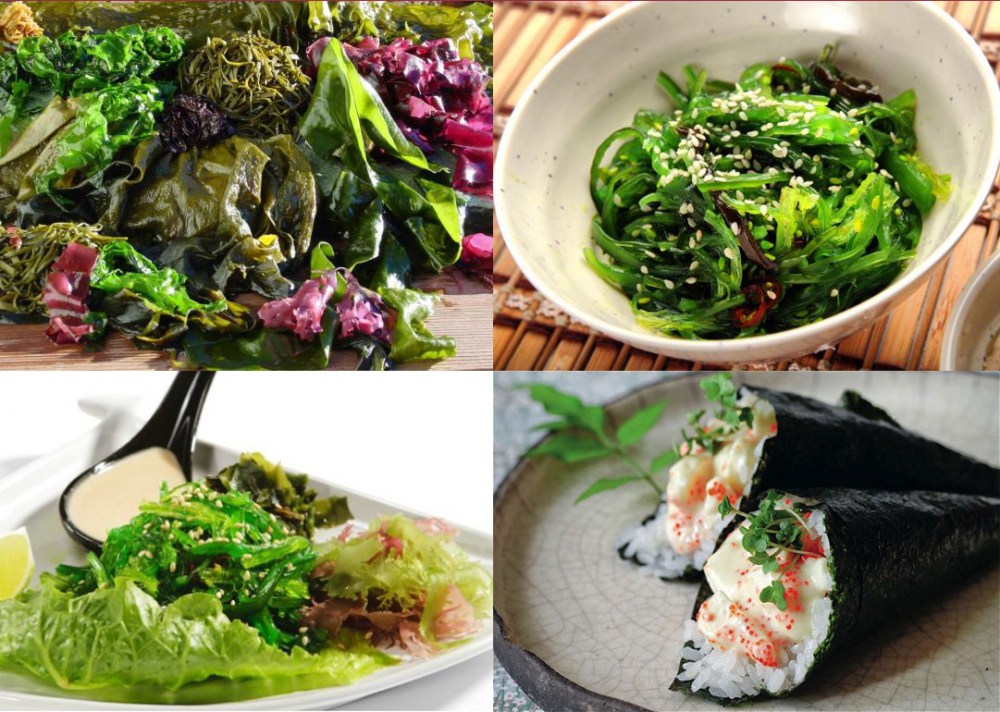 Les algues marines, un atout santé naturel .jpg